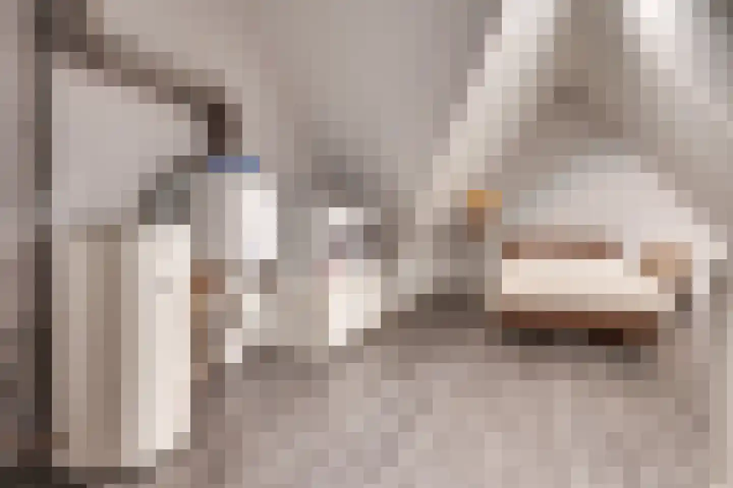 Luikens 7 Esbeek thumbnail 35