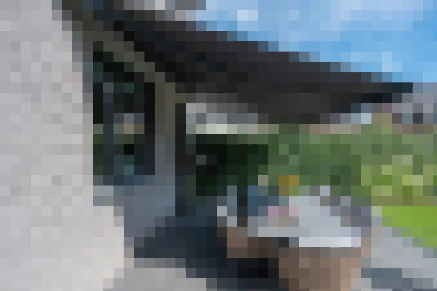 Luikens 7 Esbeek thumbnail 38