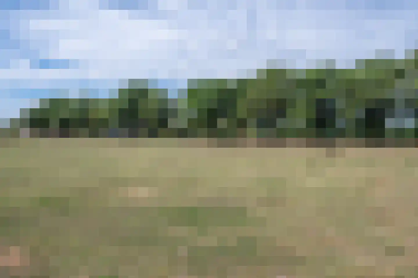 Luikens 7 Esbeek thumbnail 44