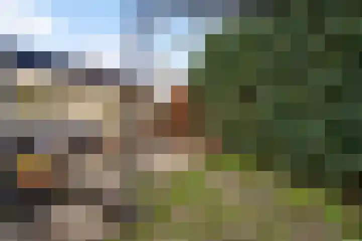 Luikerweg 31 Maastricht thumbnail 18