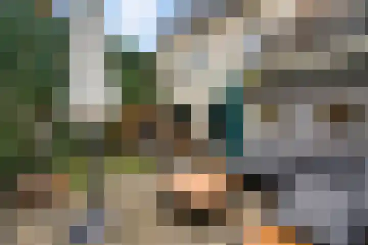 Luikerweg 31 Maastricht thumbnail 19