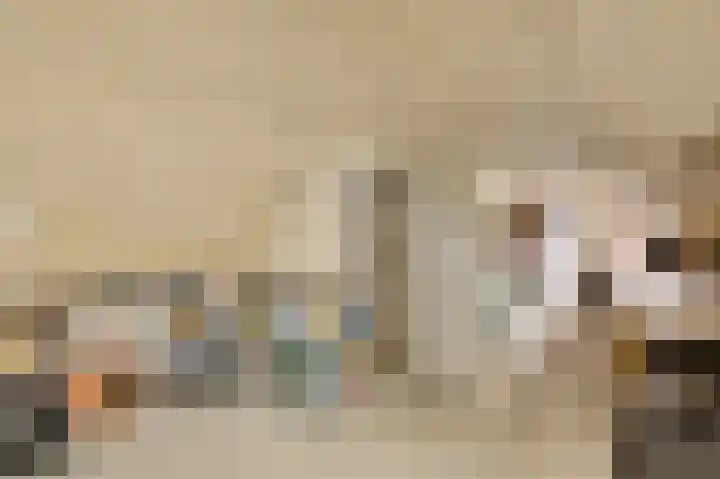 Luikerweg 31 Maastricht thumbnail 33