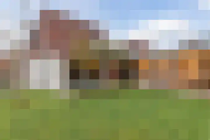 Luikerweg 59 Valkenswaard thumbnail 47