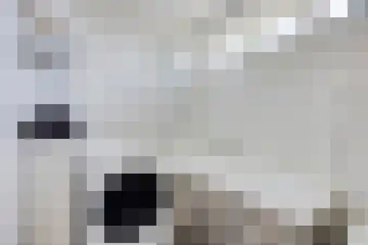 Luiklaan 12 Eindhoven thumbnail 16