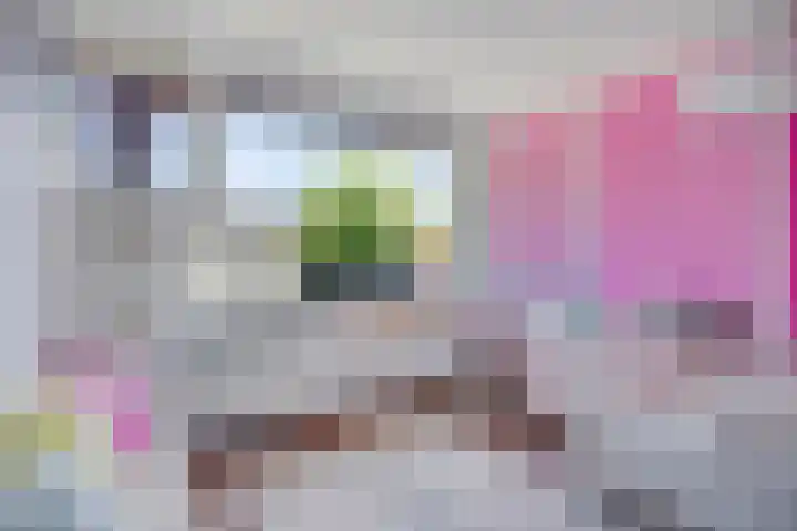 Luiklaan 12 Eindhoven thumbnail 18