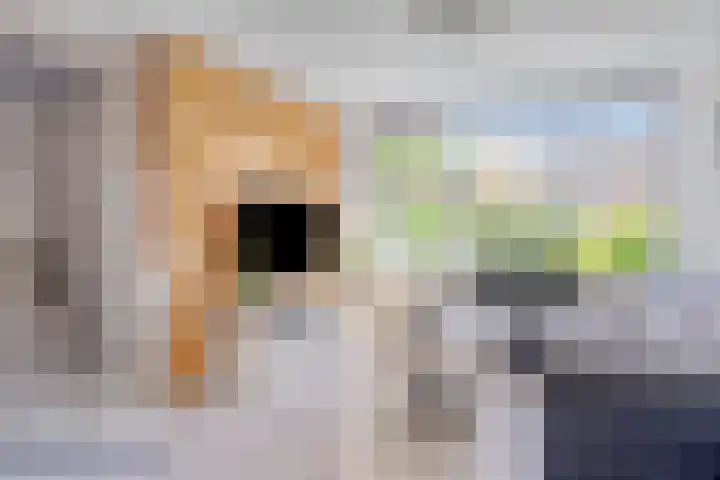 Luiklaan 12 Eindhoven thumbnail 6