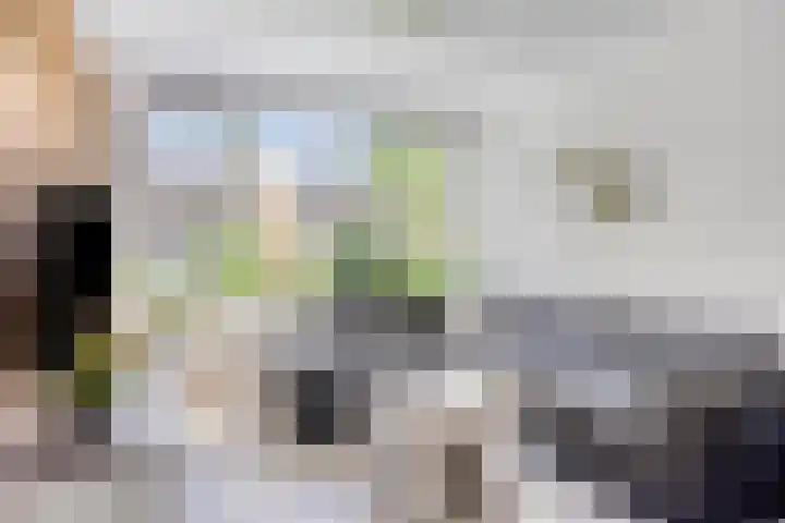 Luiklaan 12 Eindhoven thumbnail 7