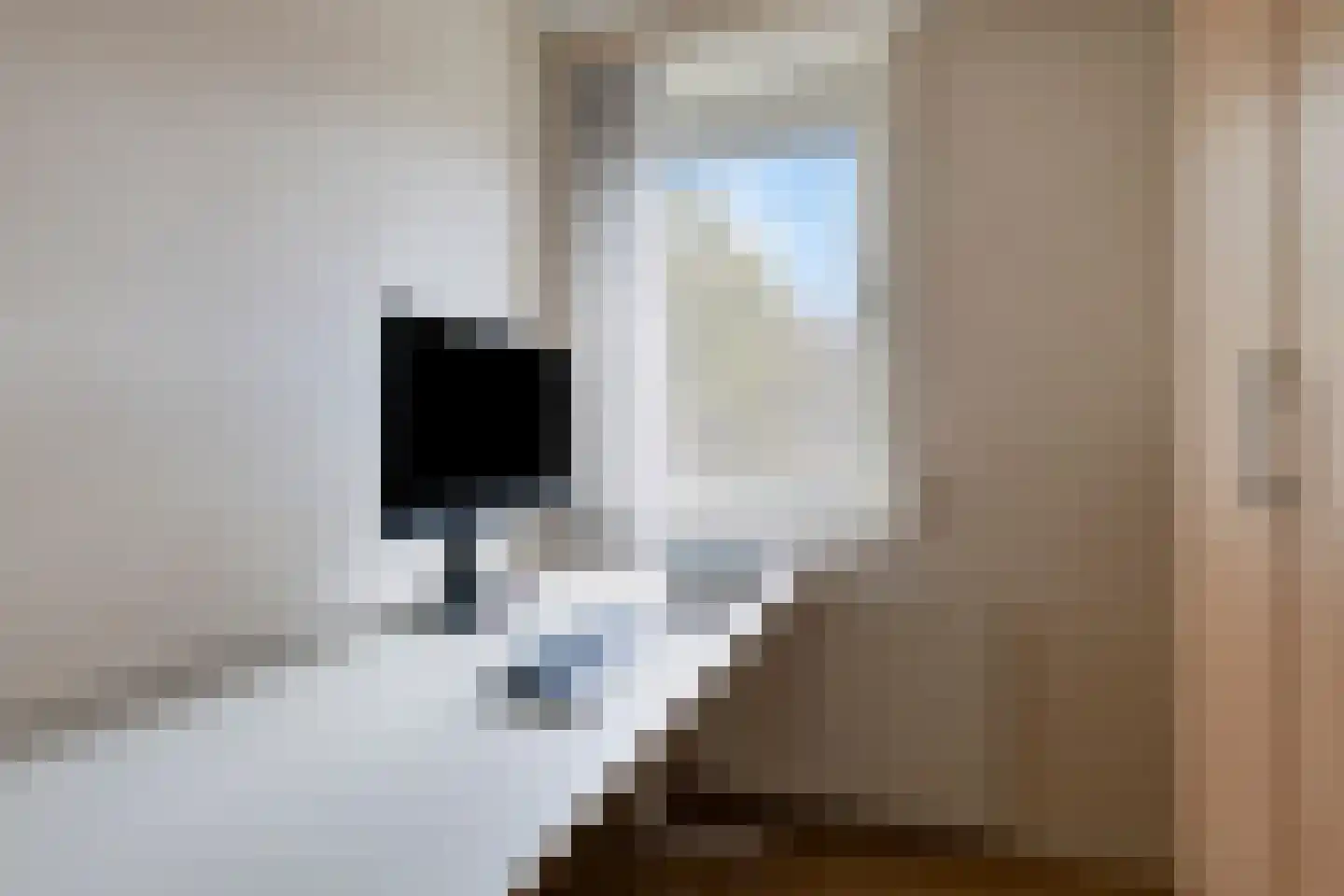 Luiklaan 19 Eindhoven thumbnail 29