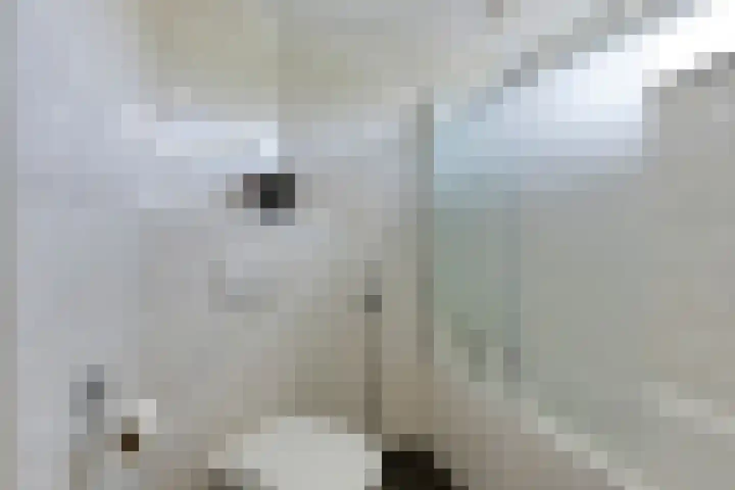 Luiklaan 19 Eindhoven thumbnail 31