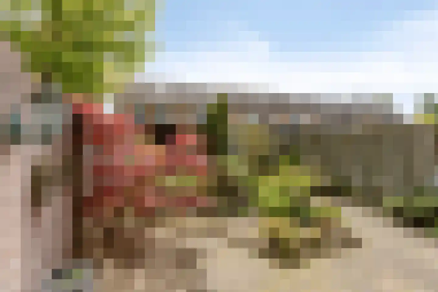 Luiklaan 19 Eindhoven thumbnail 36