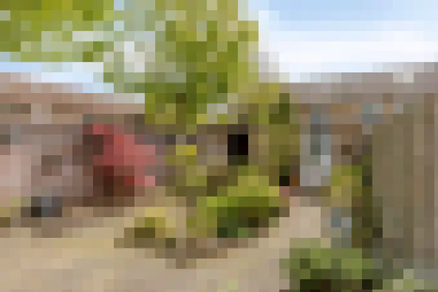 Luiklaan 19 Eindhoven thumbnail 37