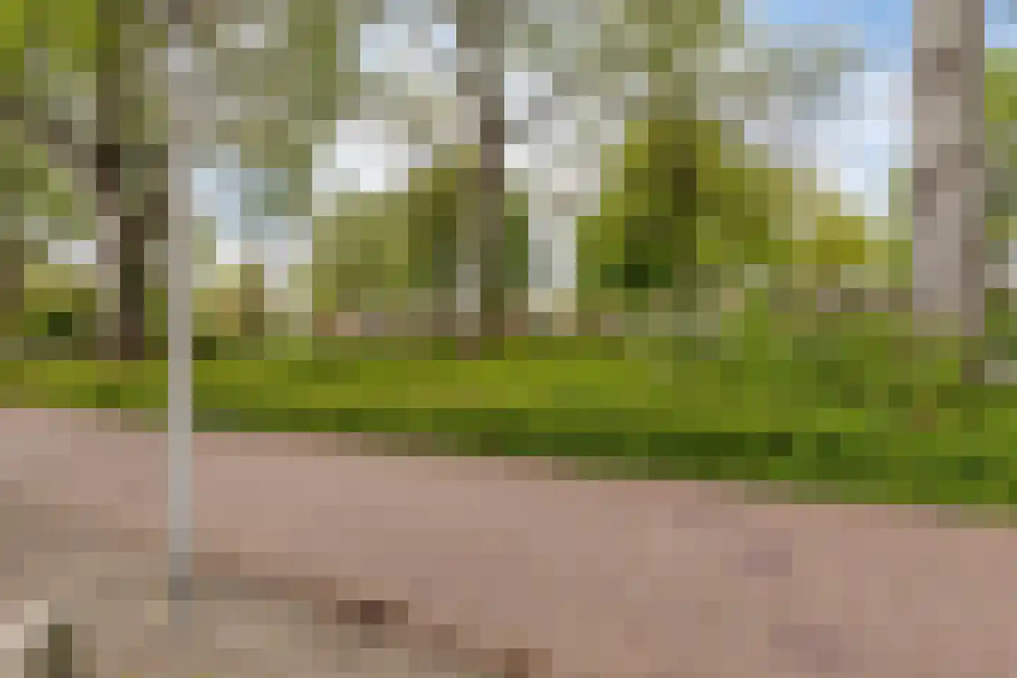 Luiklaan 19 Eindhoven thumbnail 41