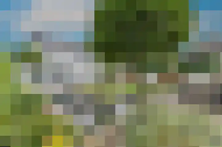Luiksestraat 1 Thorn thumbnail 18