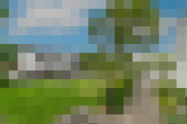 Luiksestraat 1 Thorn thumbnail 19