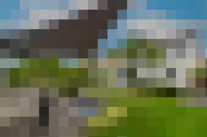 Luiksestraat 1 Thorn thumbnail 35
