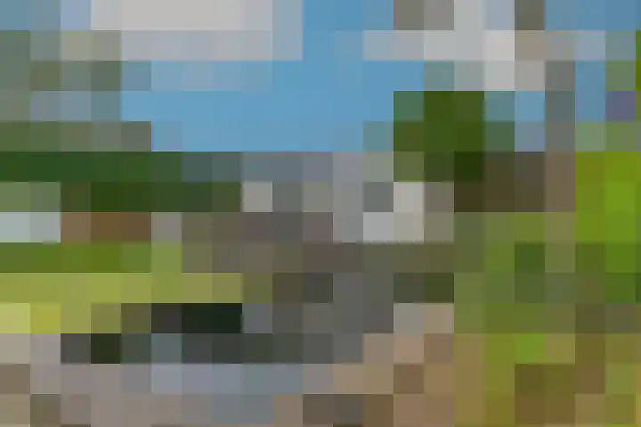 Luiksestraat 1 Thorn thumbnail 36
