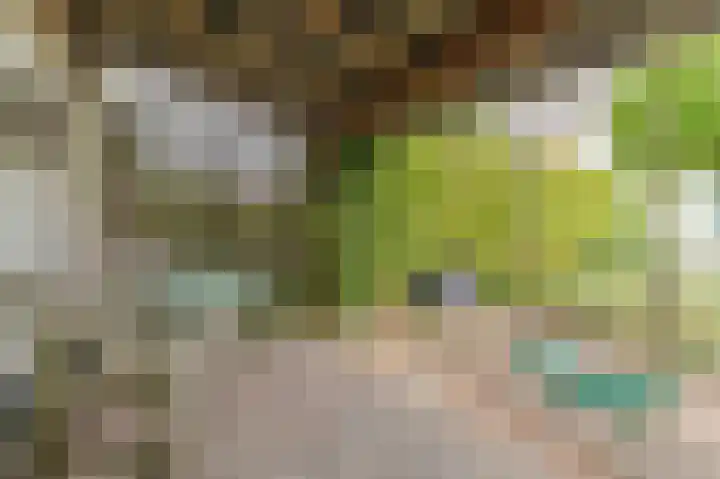 Luiksestraat 1 Thorn thumbnail 38