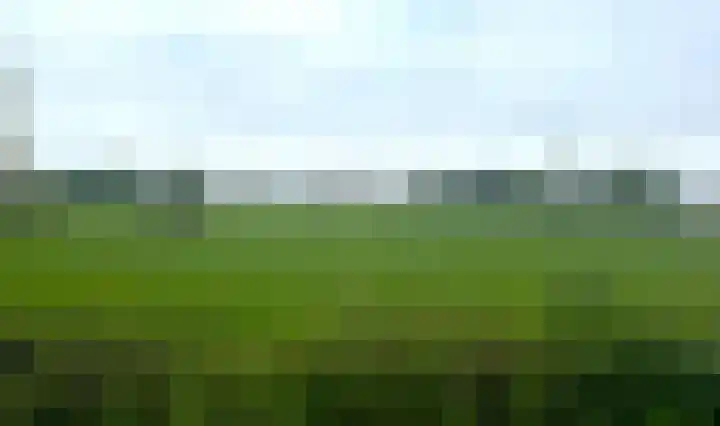 Luiksestraat 1 Thorn thumbnail 43