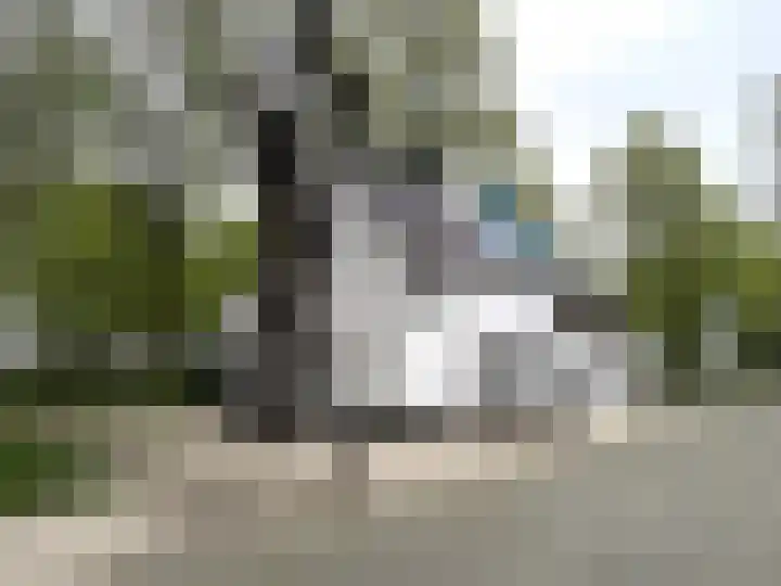 Luiksestraat 1 Thorn thumbnail 45