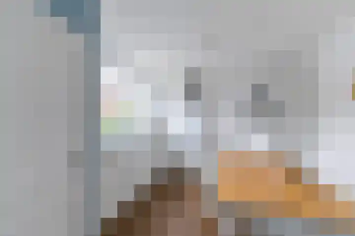 Luiksestraat 1 Thorn thumbnail 6