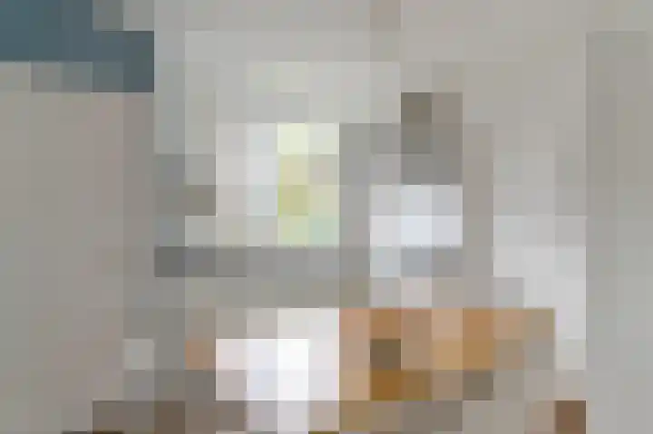 Luiksestraat 1 Thorn thumbnail 7