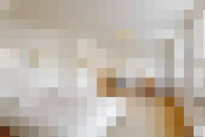 Luiksestraat 16 Thorn thumbnail 19
