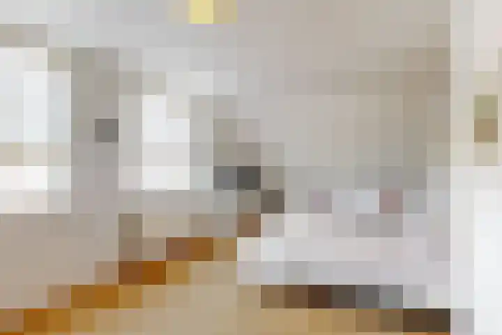 Luiksestraat 16 Thorn thumbnail 20