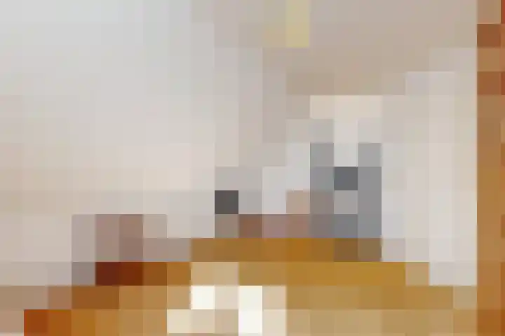 Luiksestraat 16 Thorn thumbnail 22