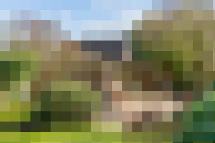 Luiksestraat 16 Thorn thumbnail 32