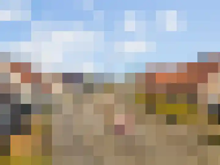 Luiksestraat 16 Thorn thumbnail 33