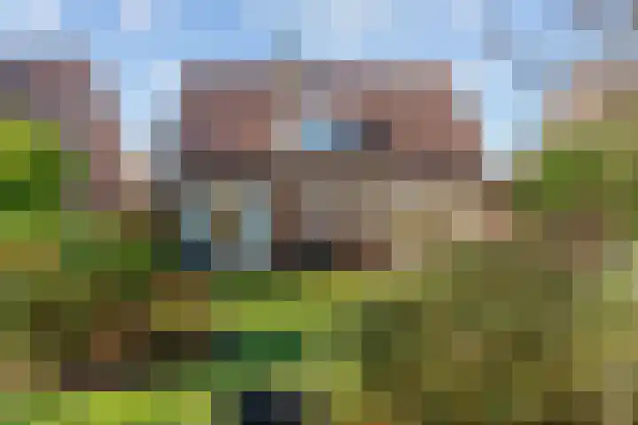 Luiksestraat 16 Thorn thumbnail 5