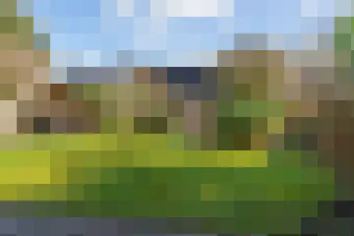 Luiksestraat 16 Thorn thumbnail 6