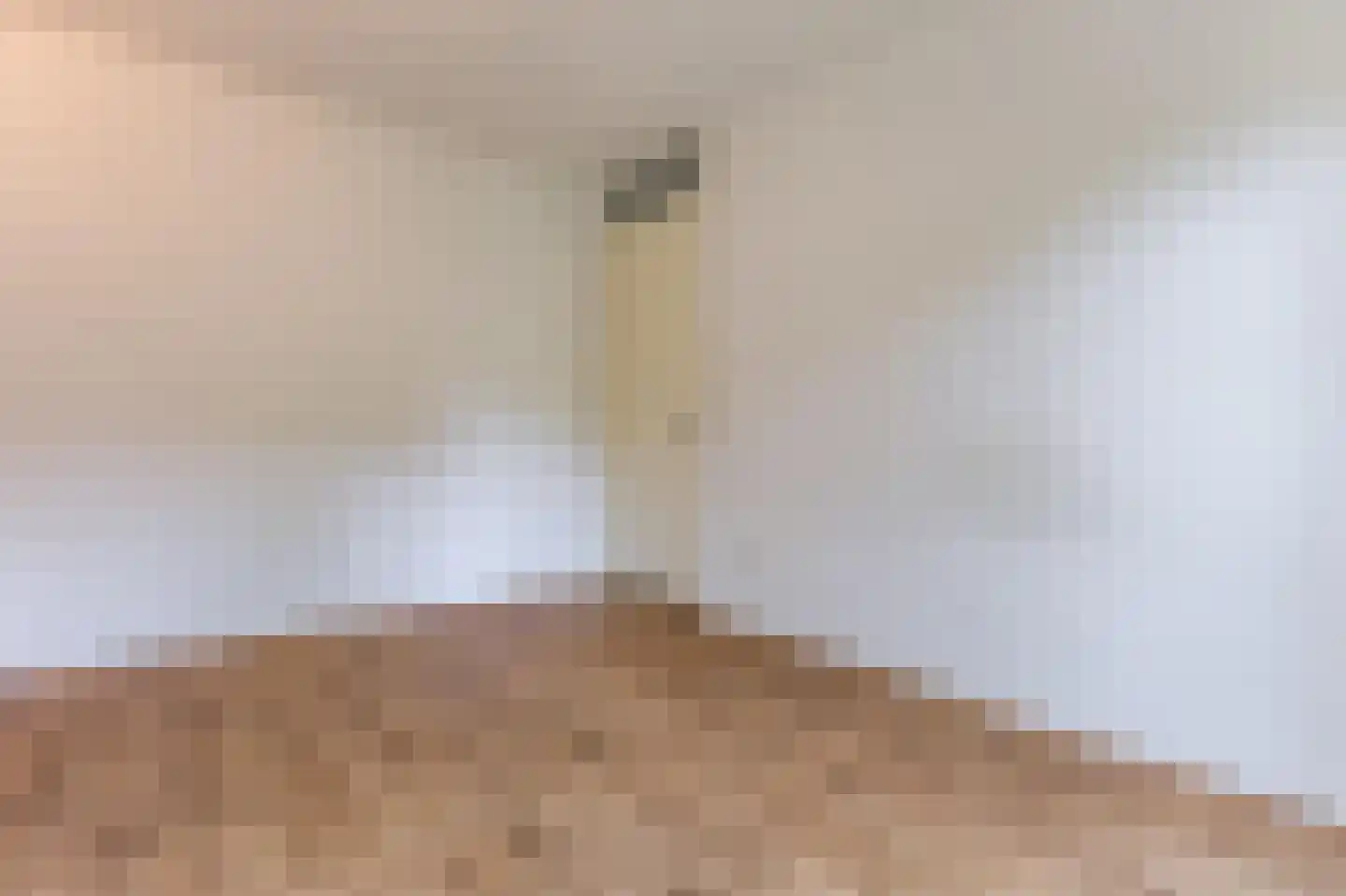 Luiksestraat 18 Zaandam thumbnail 26