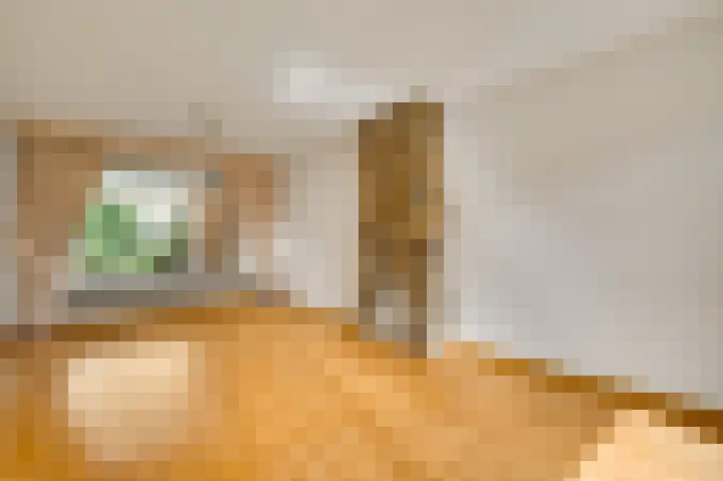 Luiksestraat 3 Thorn thumbnail 11