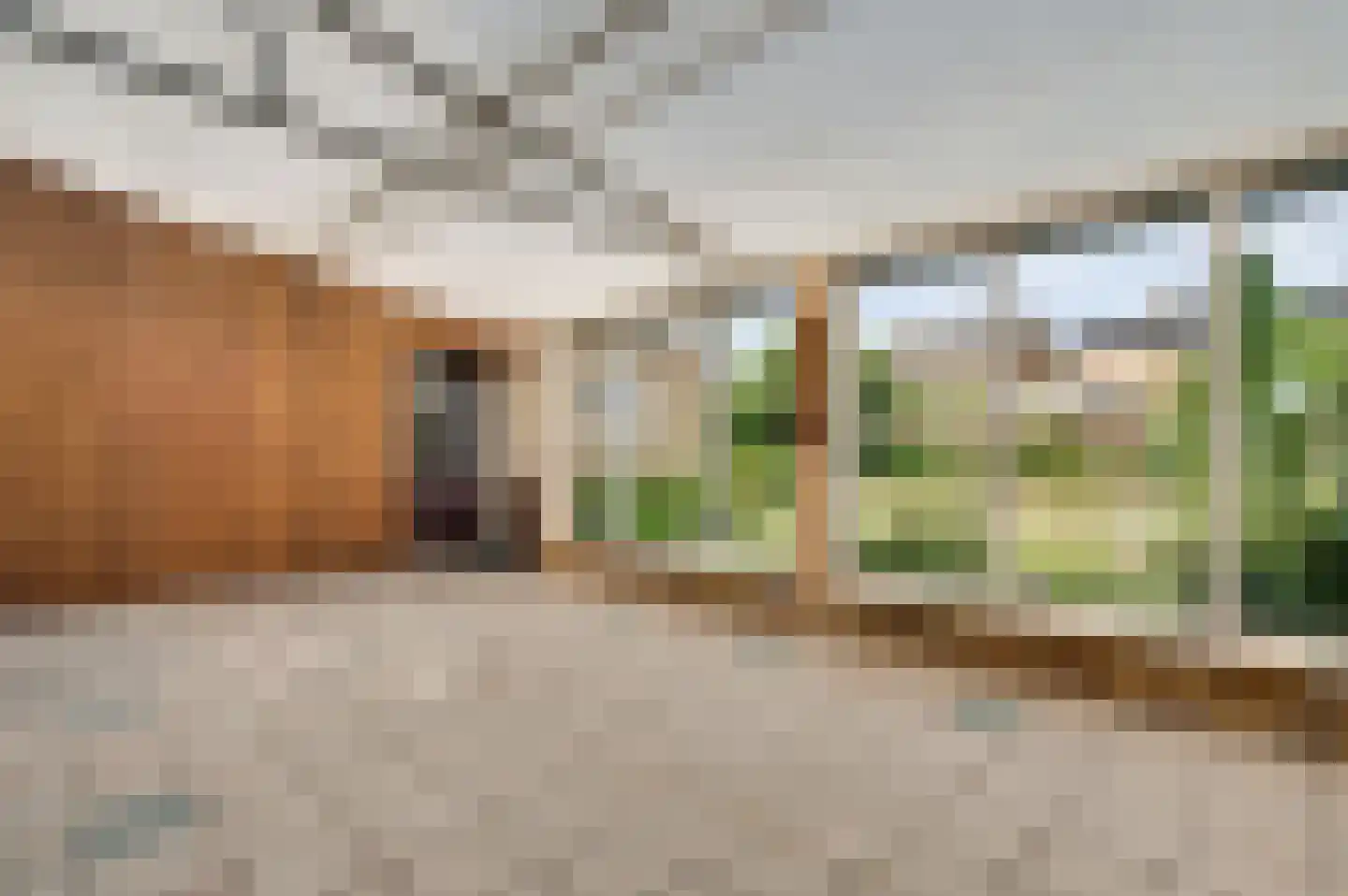 Luiksestraat 3 Thorn thumbnail 18
