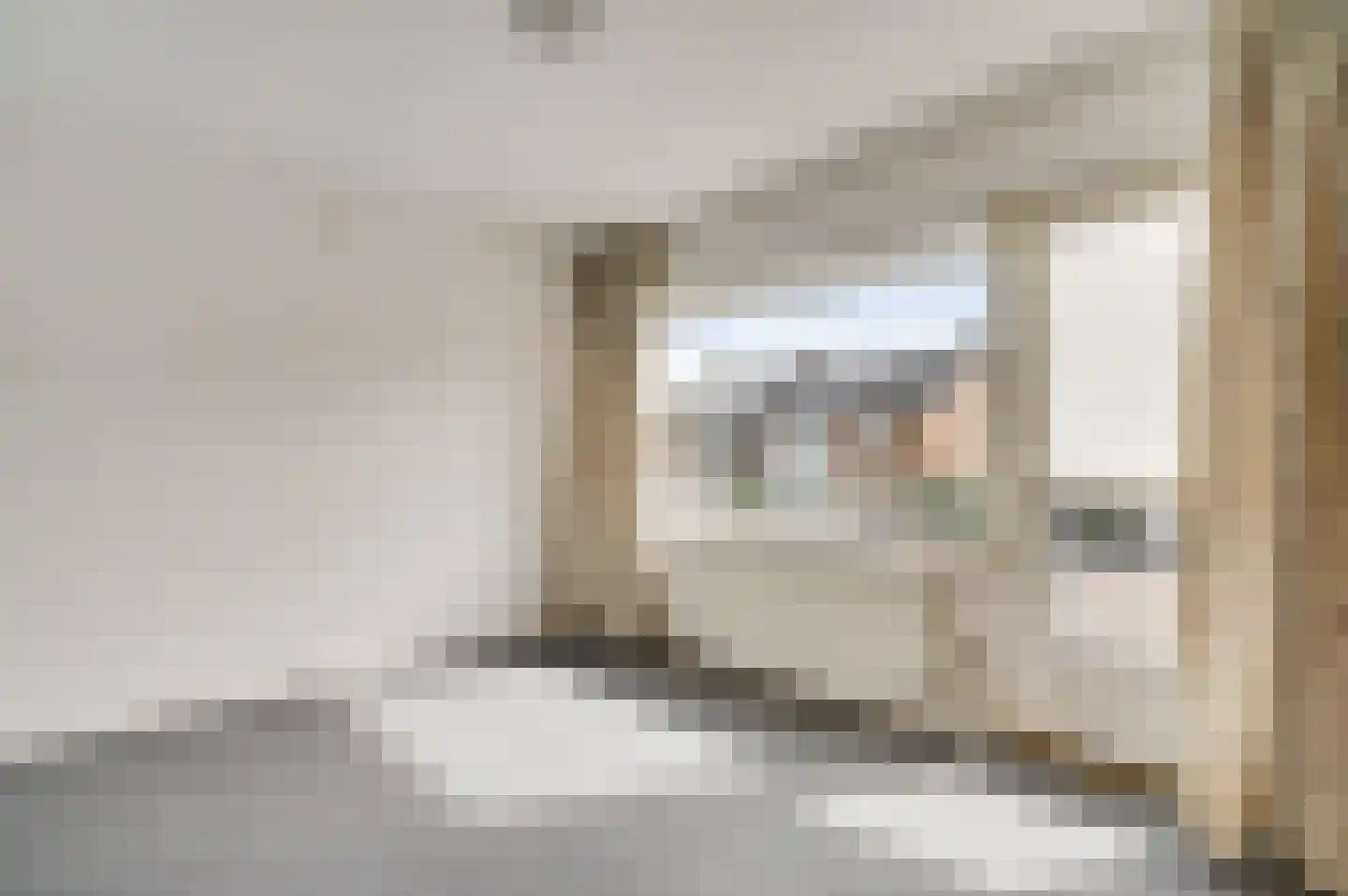 Luiksestraat 3 Thorn thumbnail 25