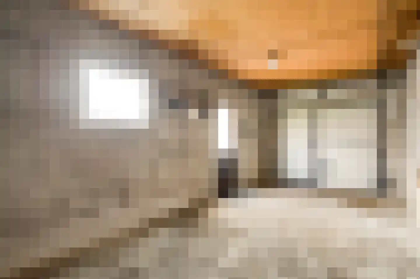 Luiksestraat 3 Thorn thumbnail 29