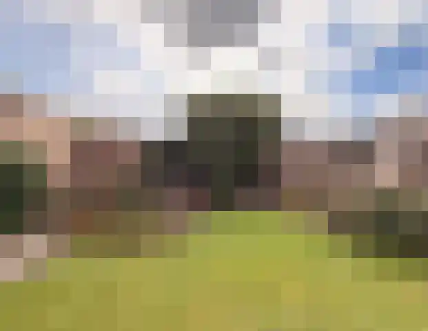 Luiksestraat 3 Thorn thumbnail 34