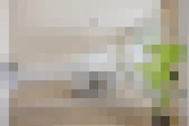 Luikstraat 12 Breda thumbnail 32