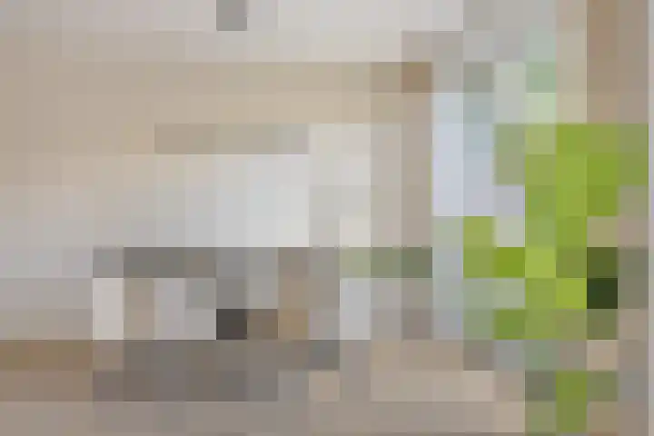Luikstraat 12 Breda thumbnail 33