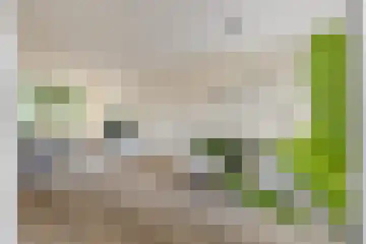 Luikstraat 12 Breda thumbnail 34