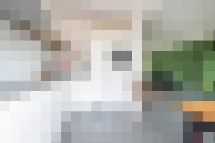 Luikstraat 20 Breda thumbnail 18