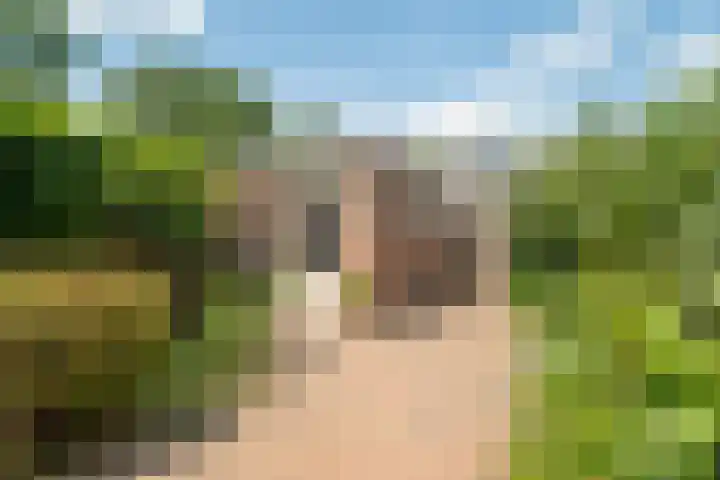 Luikstraat 20 Breda thumbnail 31