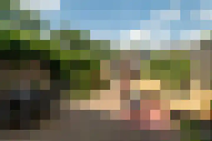 Luikstraat 20 Breda thumbnail 32