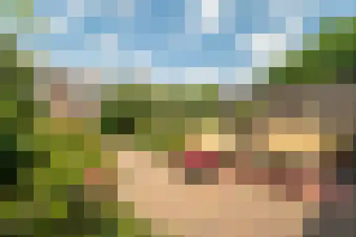 Luikstraat 20 Breda thumbnail 34