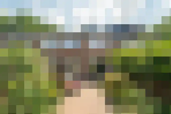 Luikstraat 20 Breda thumbnail 35