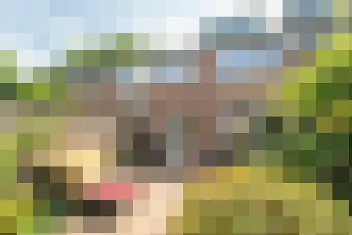Luikstraat 20 Breda thumbnail 36