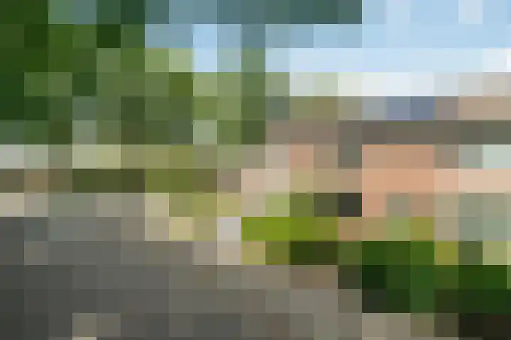 Luikstraat 20 Breda thumbnail 39
