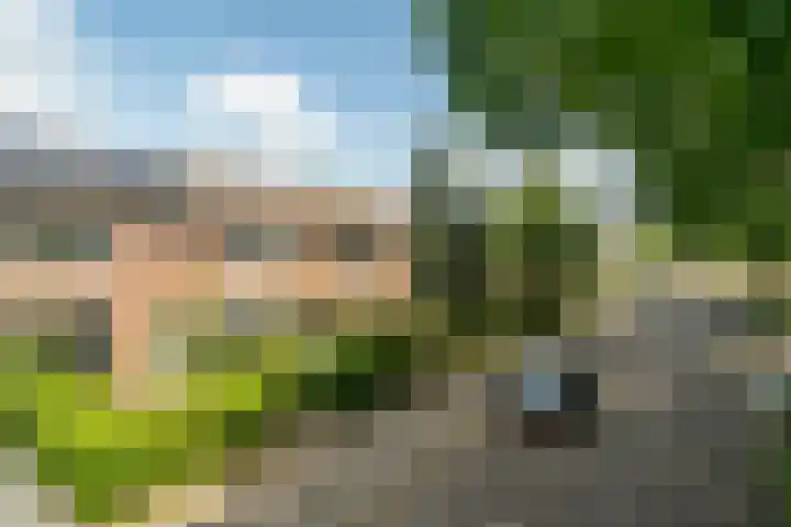 Luikstraat 20 Breda thumbnail 40