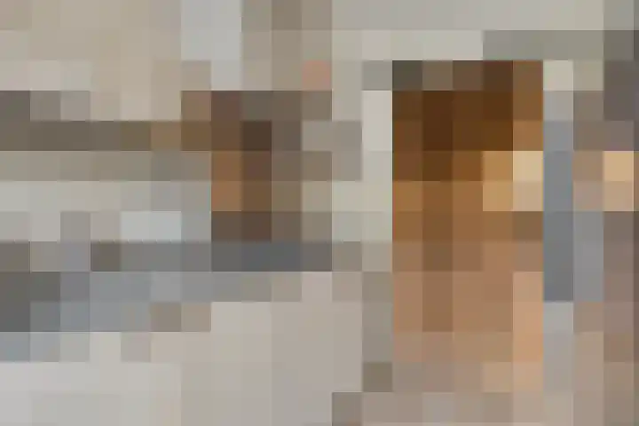 Luikstraat 34 's-Hertogenbosch thumbnail 6